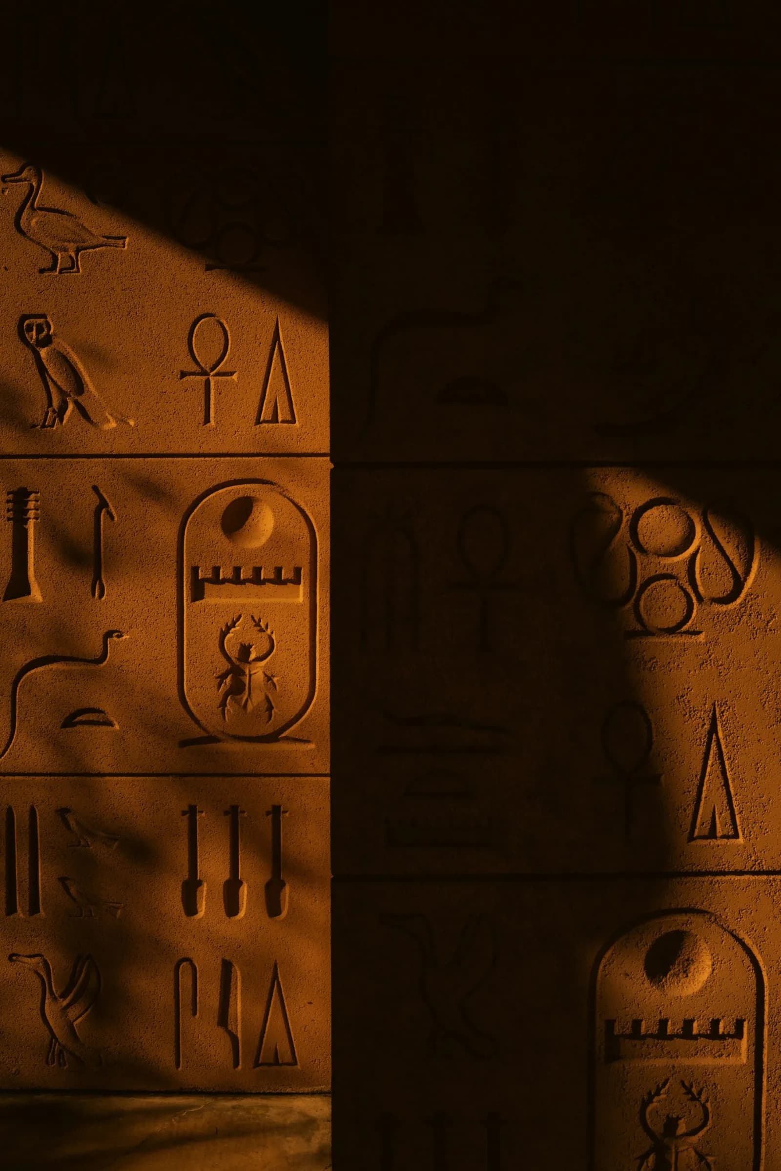 Honey Acres: The Jaw-Dropping Science Behind Honey That Outlived the Pharaohs
