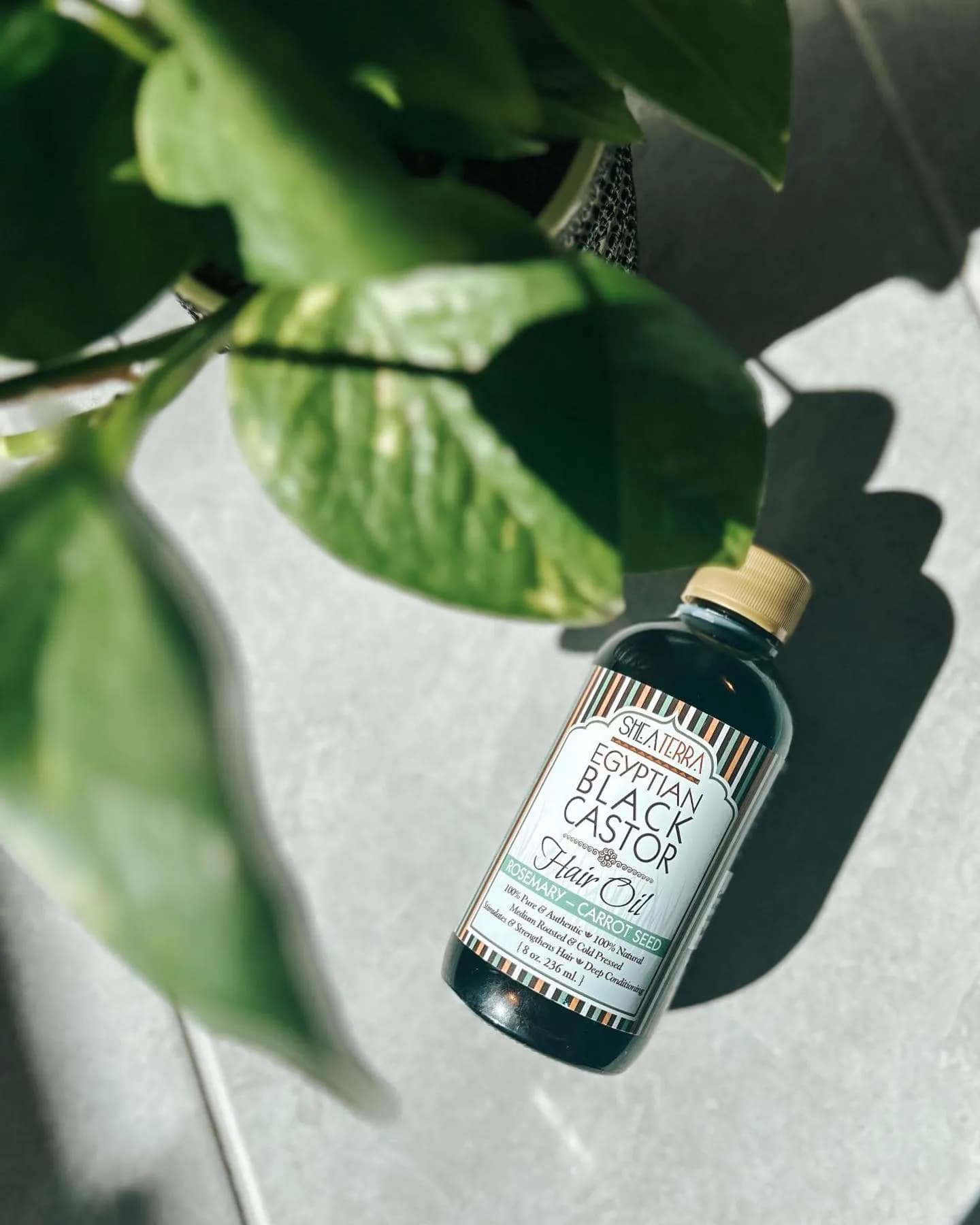 Shea Terra Organics: 10 Natural Skincare Benefits Revealed