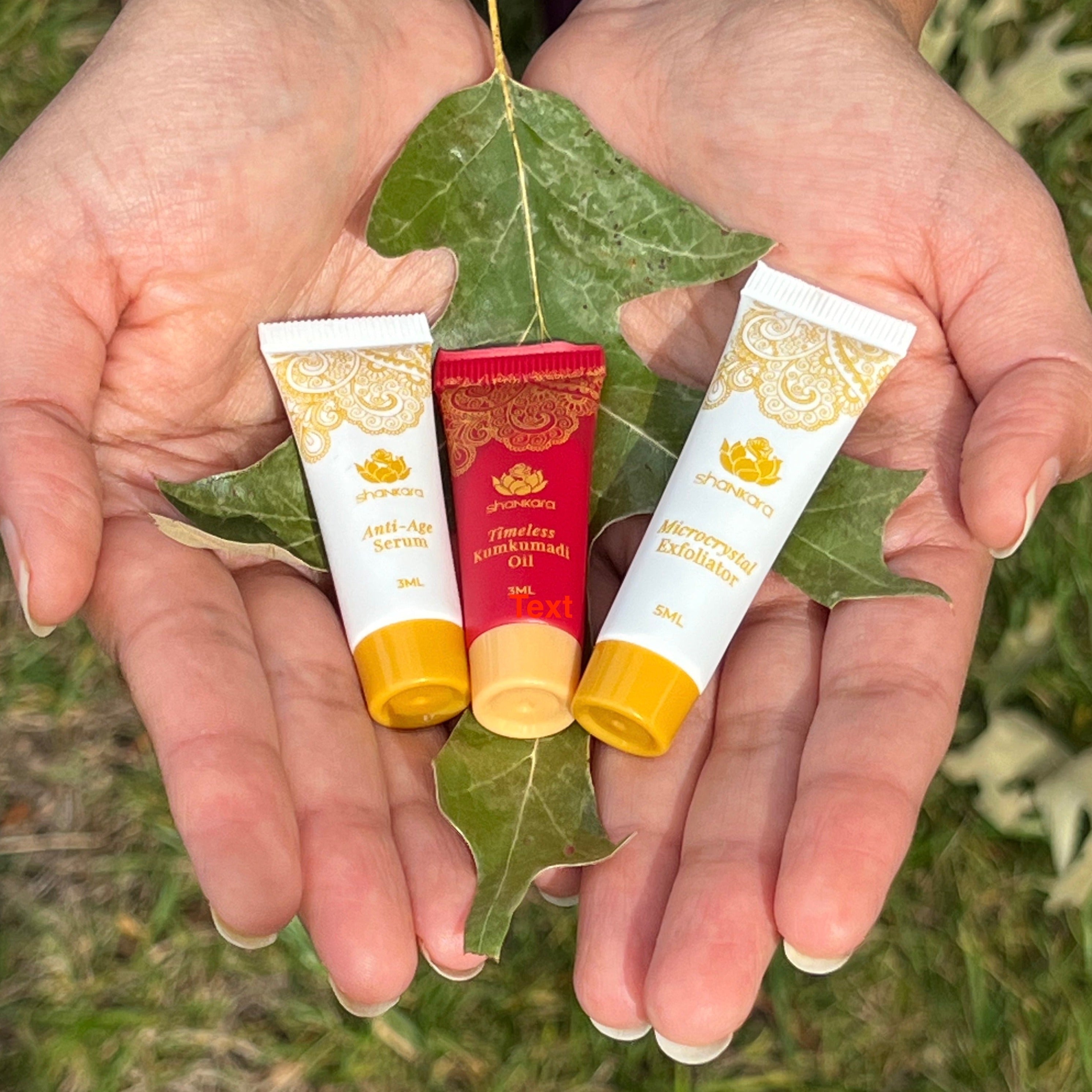 Kumkumadi Oil | Shankara Skincare