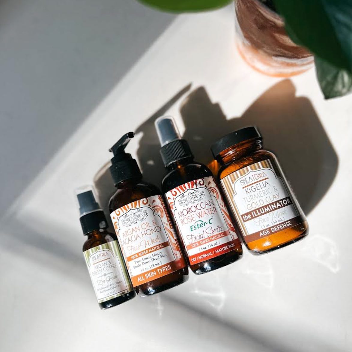 Shea Terra Organics