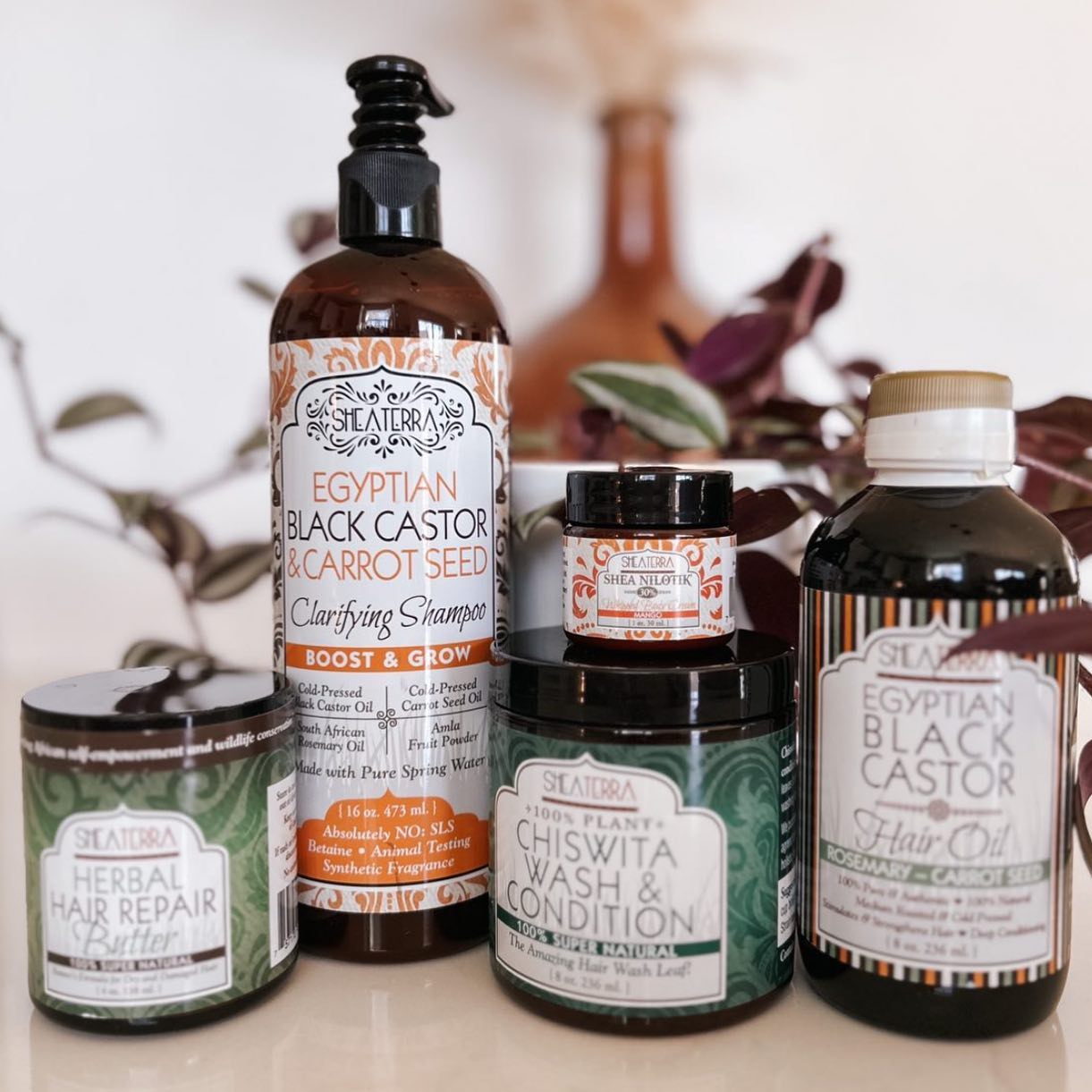 Discovering the Wisdom of Traditional African Skincare Practices Through Shea Terra’s Formulations